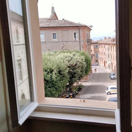 Attico Sulla Bouganville Corinaldo Buitenkant foto
