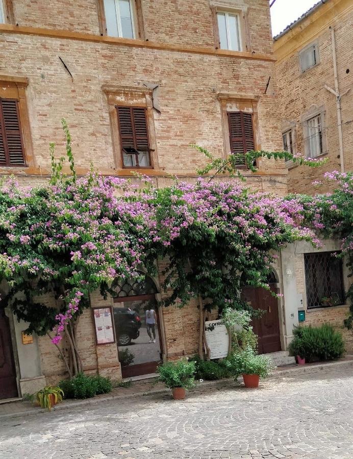 Attico Sulla Bouganville Corinaldo Buitenkant foto